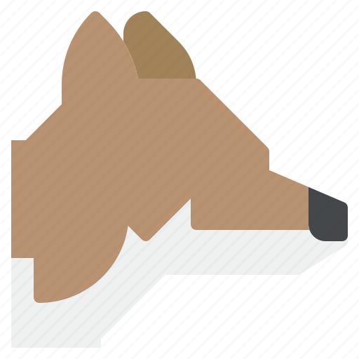 Animal, dog, fox, wild, wolf, zoo icon - Download on Iconfinder