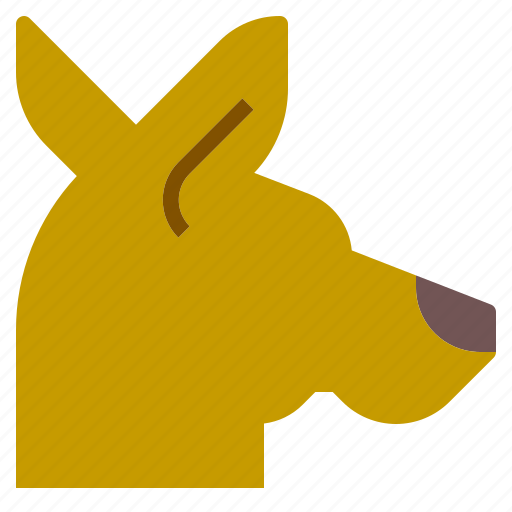 Animal, animals, kangaroo, kingdom, life, wild, zoo icon - Download on Iconfinder