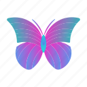 animal, butterfly, fauna, fly, insect, mascot, wings