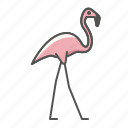 animal, flamingo, wild
