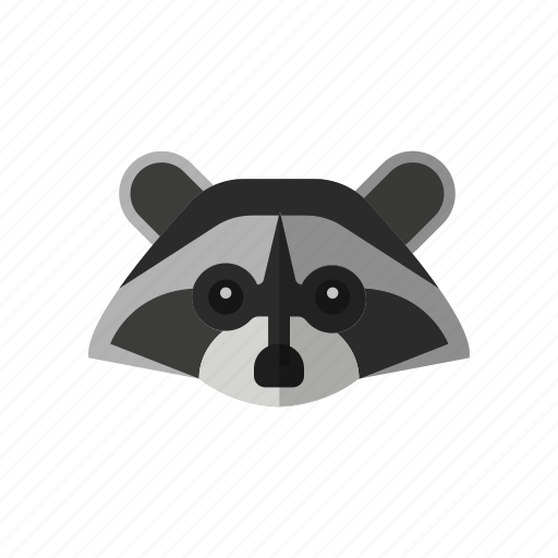 Animal, animals, pet, raccoons, wild, zoo icon - Download on Iconfinder