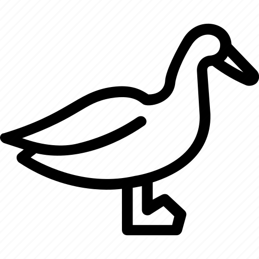 Bird, duck, goose, seabird, stork icon - Download on Iconfinder