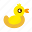 duck, duckling 