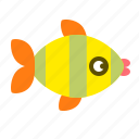 fish, animal