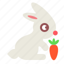 rabbit, carrot