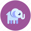 elephant, animal