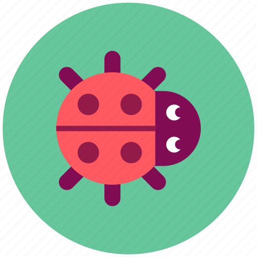 Bug, ladybug icon - Download on Iconfinder on Iconfinder