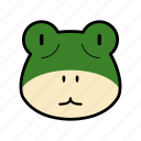 frog, toad, amphibian, animal, head, cute, mammal, zoo, wildlife