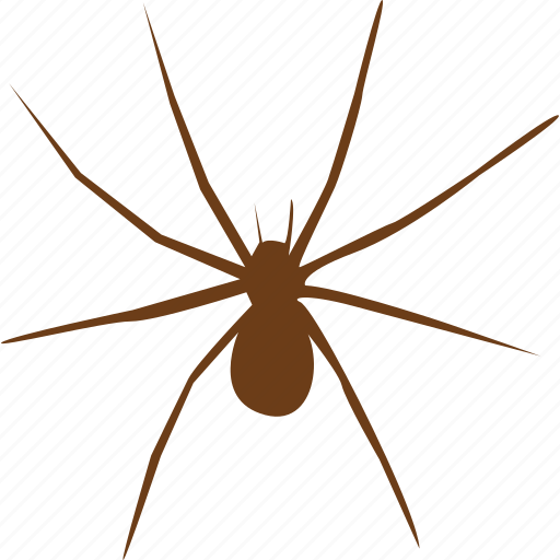 Animal, bug, spider, animals, horror, scream, slider icon - Download on Iconfinder