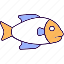 fish, pikeperch, zander, sea creature, aquatic animal