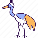 crowned crane, crane animal, regulorum, balearica, creature