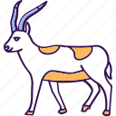 antelope, blackbuck, cervicapra, creature, antelope icon