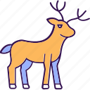reindeer, deer, cervidae, creature, animal