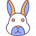 hare, rabbit, bunny, lapin, animal