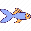 goldfish, carassius auratus, sea creature, aquatic animal, goldfish icon