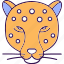 panther, leopard, leopard face, felidae member, panther icon 