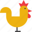 animal, chicken, cock, hen, rooster 