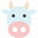 animal, cow, farm