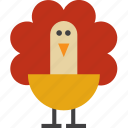 animal, bird, peacock, turkey 