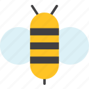 animal, bee, insect, wasp