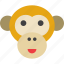 animal, ape, chimpanzee, monkey 