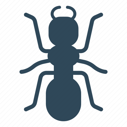 Ant, bird, bug, crawl, insect icon - Download on Iconfinder