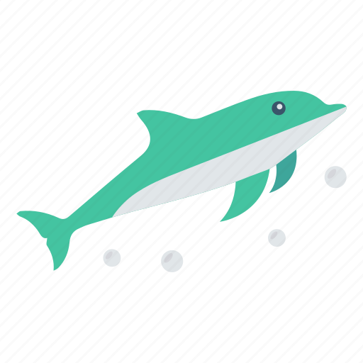 Animal, fish, sea, shark, water icon - Download on Iconfinder