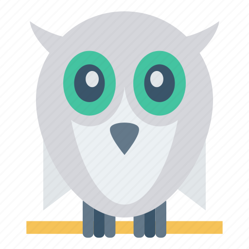 Animal, bird, fly, owl, zoo icon - Download on Iconfinder
