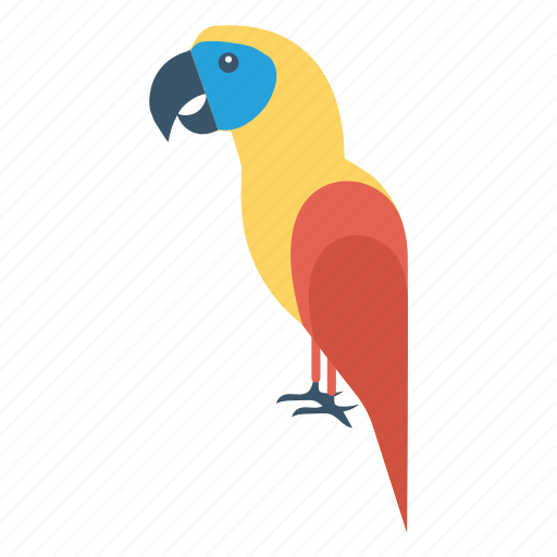 Bird, fly, parrot, pet, zoo icon - Download on Iconfinder
