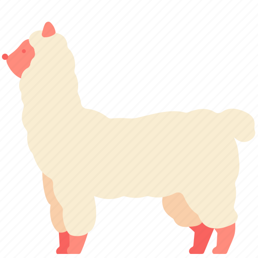 Alpaca, animal, llama, mammal, pet, zoo icon - Download on Iconfinder
