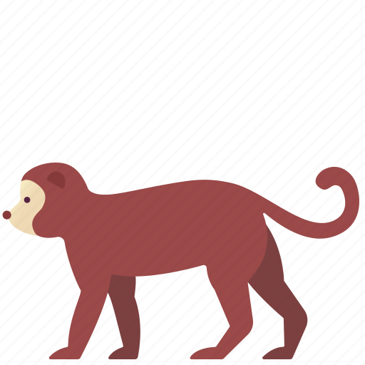 Animal, chimpanzee, creature, monkey, wildlife, zoo icon - Download on Iconfinder