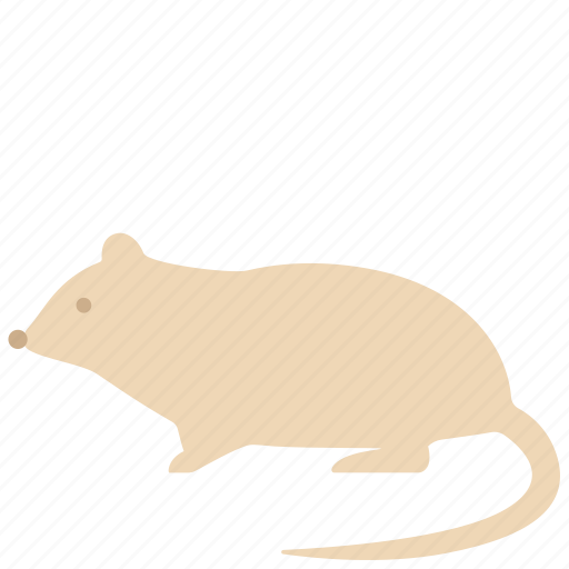 Animal, creature, mouse, pet, rat icon - Download on Iconfinder