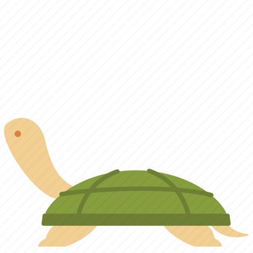 Amphibian, animal, domestic, pet, sea, turtle, zoo icon - Download on Iconfinder
