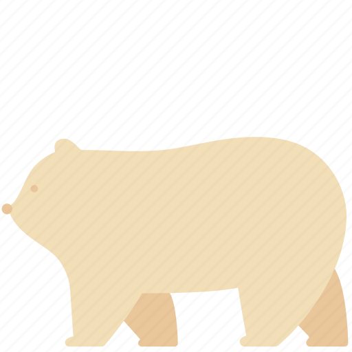 Animal, bear, fluffy, mammal, polar, walk, zoo icon - Download on Iconfinder