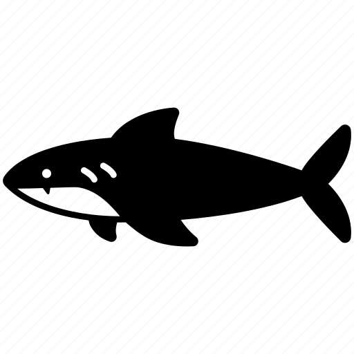 Animal, aquatic, fish, ocean, sea, shark, water icon - Download on Iconfinder