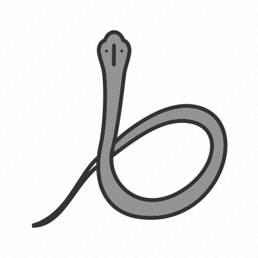 Bite, cobra, king, nature, poison, snake, wild icon - Download on Iconfinder