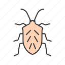 ant, beetle, bug, crawler, moth, pest, termite