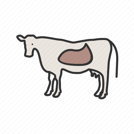Animal, cattle, cow, dairy, farm, farming, milk icon - Download on Iconfinder
