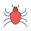 beetle, crawler, insect, ladybug, mite, pest, termite