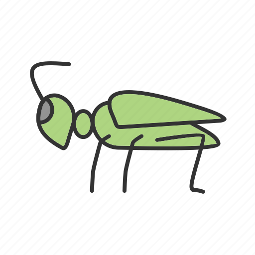 Animal, bug, grasshopper, grasshoppers, green, insect icon - Download on Iconfinder