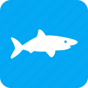 blue, dive, fish, shark, sharks, whale, wildlif