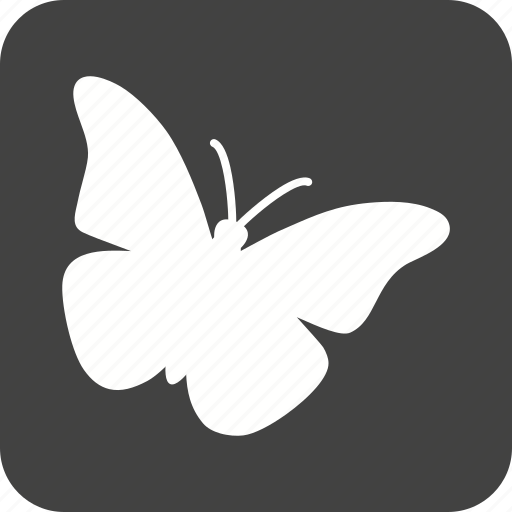 Butterflies, butterfly, colorful, flying, insect, summer, wings icon - Download on Iconfinder