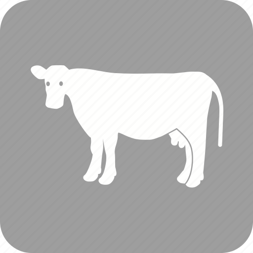 Animal, cow, dairy, farm, farming, milk, milking icon - Download on Iconfinder