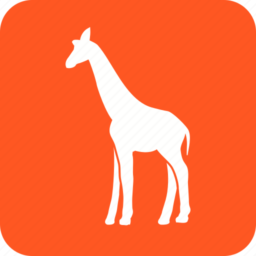 Africa, animal, giraffa, giraffe, mammal, wildlife, zoo icon - Download on Iconfinder