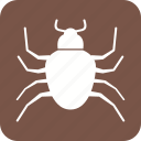 beetle, bug, crawler, insect, ladybug, pest, termite