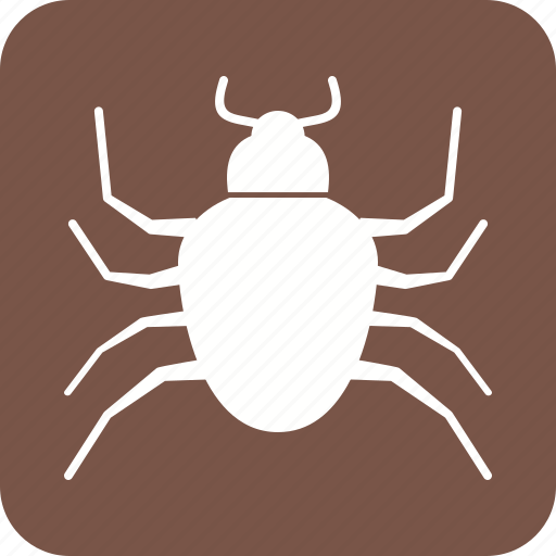 Beetle, bug, crawler, insect, ladybug, pest, termite icon - Download on Iconfinder