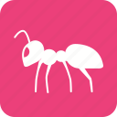 ant, beetle, bug, fly, insect, pest, termite