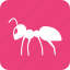 ant, beetle, bug, fly, insect, pest, termite 