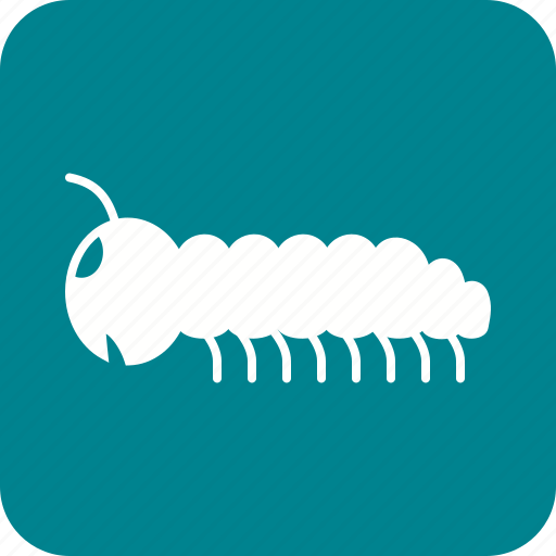 Animal, caterpillar, larva, moth, moths, pest, worm icon - Download on Iconfinder