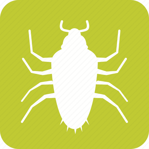 Antenna, brown, bug, cockroach, dirty, insect, pest icon - Download on Iconfinder
